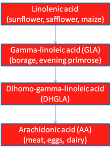 omega 6 pathway