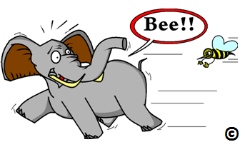 physical stress when elephant is chased by a bee