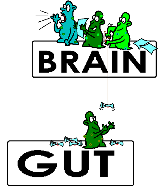 gut bacteria controlling brain