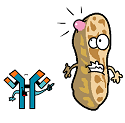 IgE antibody poking fun at a peanut