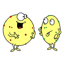 fat fat cell v thin fat cell