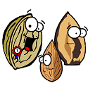 walnut winning the nut contest