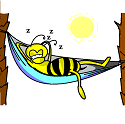bee taking a break