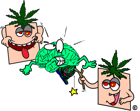 cannabis terrorizing a brain leading to psychosis