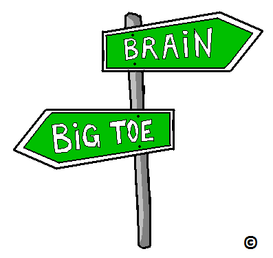 signboard brain to big toe