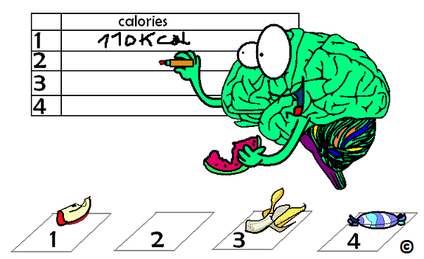 brain counting the calories