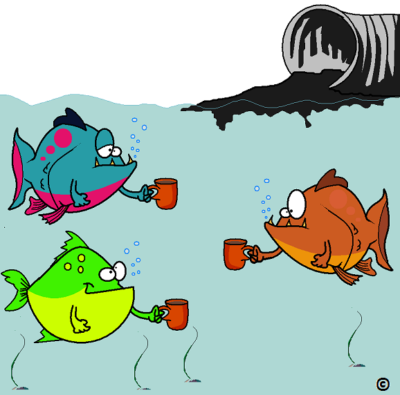 fish at the caffeine watering hole