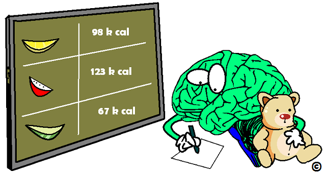 brain learning about calories