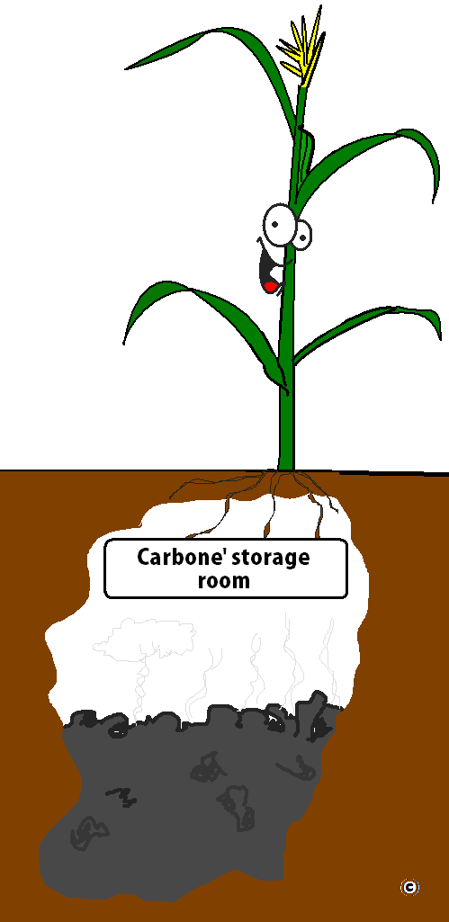 biochar storing carbon underground