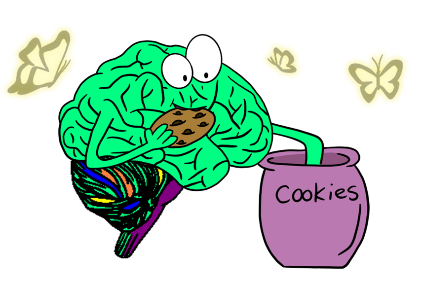 brain diving into the cookie jar under the influence of endorphins