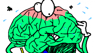maths anxiety causing a brain pain