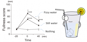 appetite suppressing effect of fizzy water (Fizzing up the water flattens your appetite)