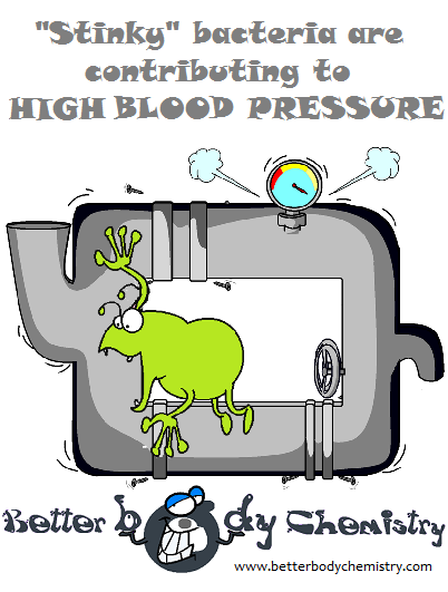 bacteria causing high blood pressure