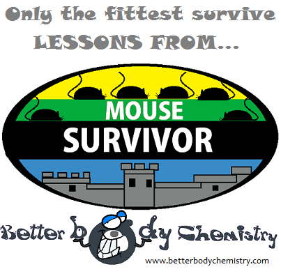 mouse survivor