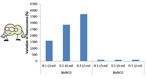 nitric oxide production at different light intensities