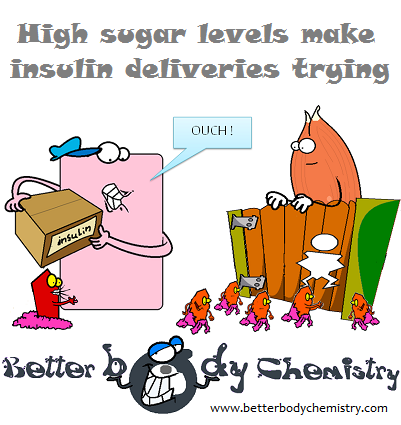 sugar biting epithelial cell trying to deliver insulin package