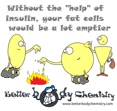 insulin topping up a fat cell