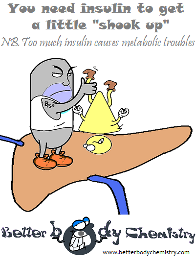 insulin clearance by the liver