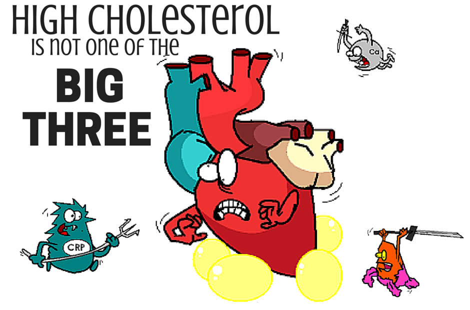 cholesterol in perspective