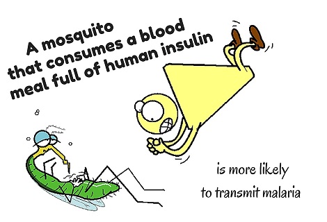 hyperinsulinemia making a mosquito sick