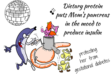 protein gestational diabetes