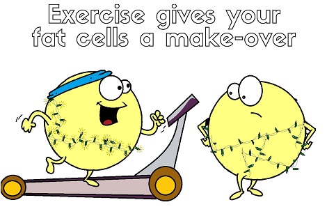 exercise changes fat cell epigentics