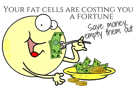 fat cell eating money