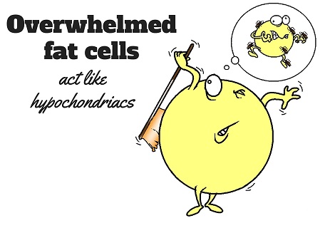 hyperchondriac fat cells