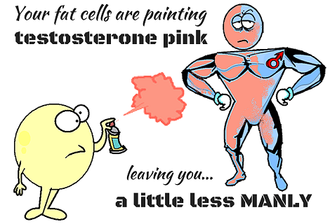 fat cell painting testosterone pink