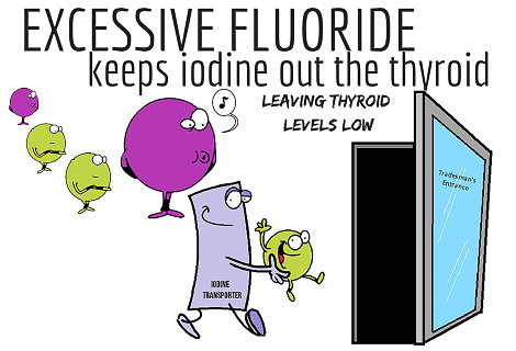 fluoride in the water