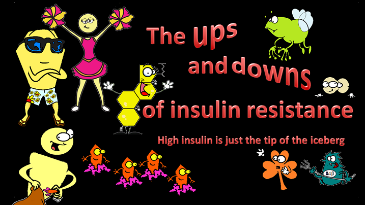 the system of insulin resistance
