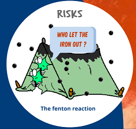iron and the fenton reaction