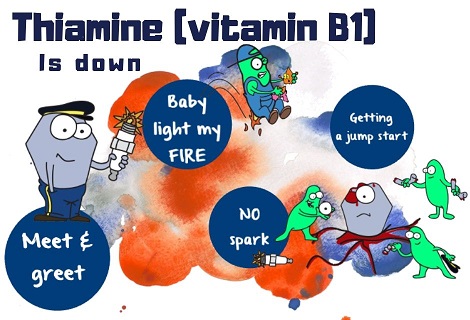 thiamine (vitamin B1)