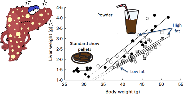 Graph showing liver weights of mice on different diets