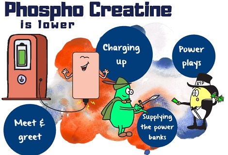 phospho creatine