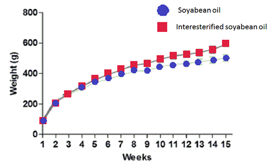 Weights of rats eating interesterified soyabean oil