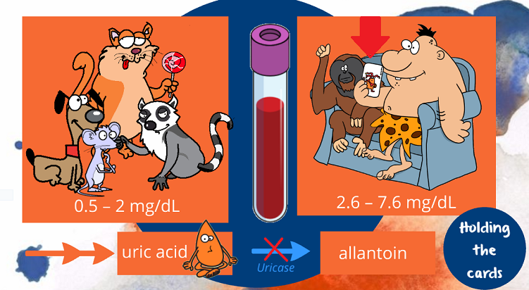 comparison of uric acid levels in different creatures