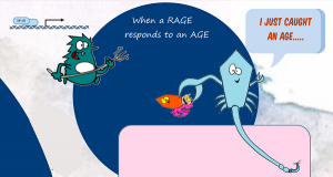 RAGE responding to AGE results in inflammation (Methylglyoxal in insulin resistance)