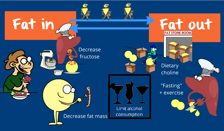 strategies to fix the fat flux