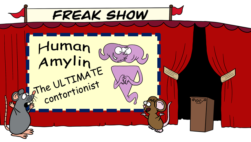 amylin freak show