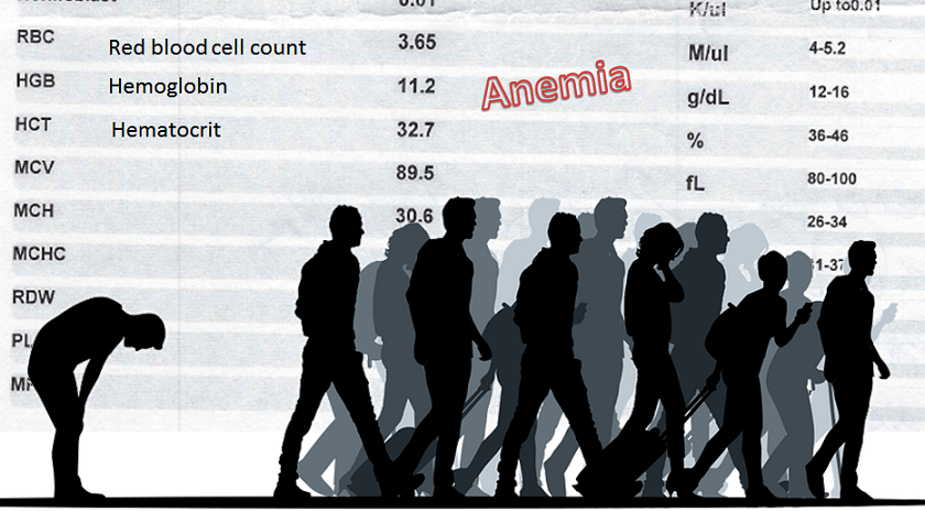 sample blood work from someone with anemia