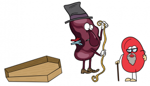 spleen sizing up an old red blood cell (Can anemia cause blood sugar problems?)