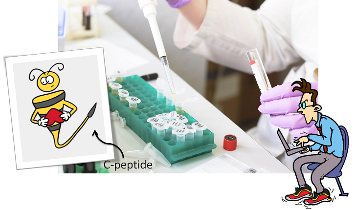 scientist pipetting into epindorf tubes to analyze C-peptide